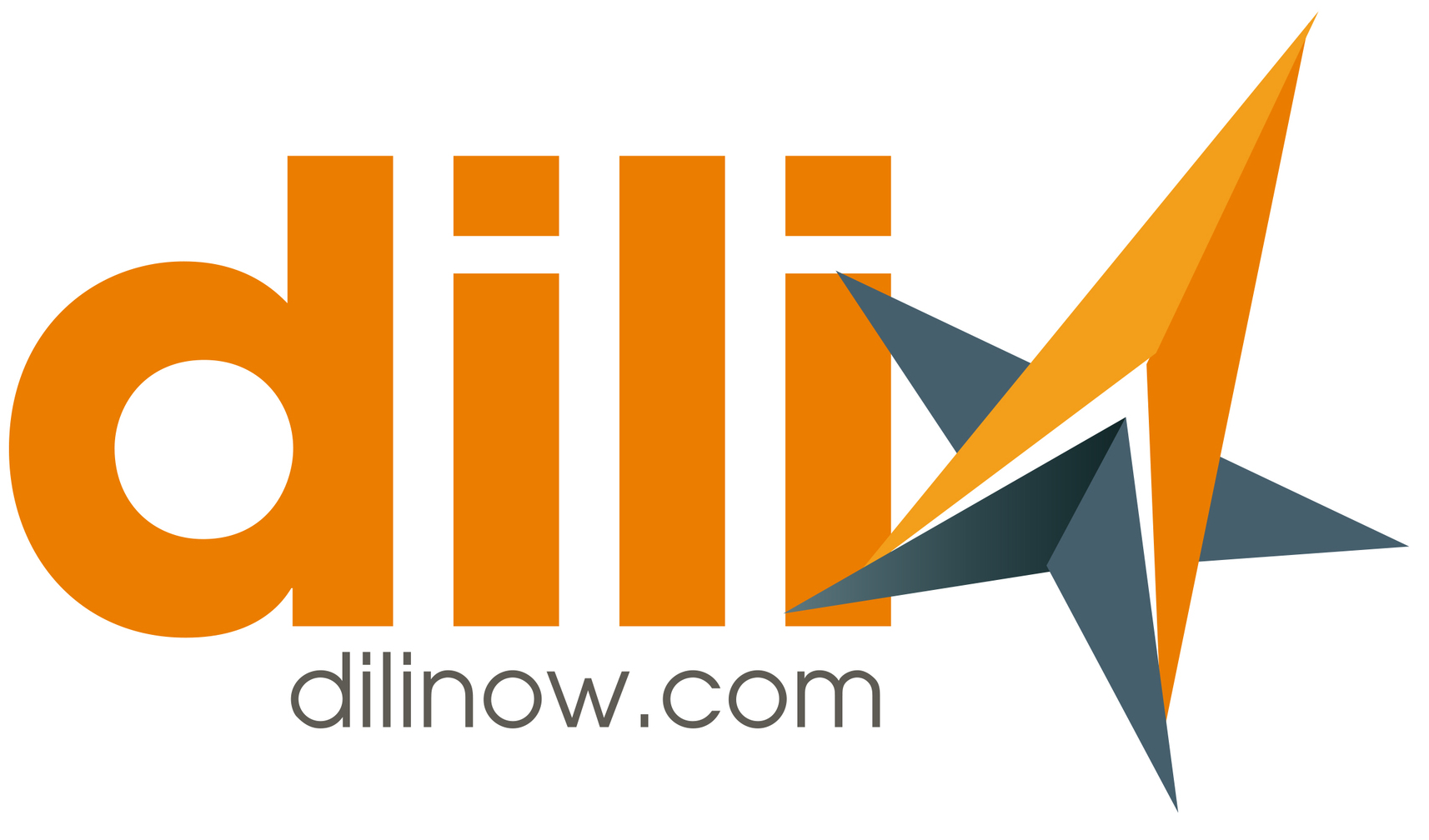 DilliNow Logo